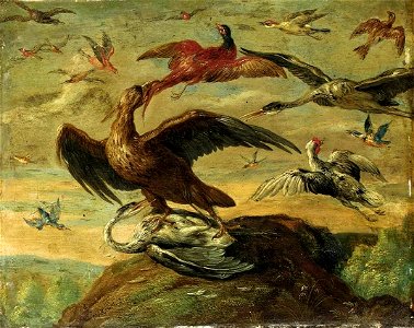 Jan van Kessel (I) - Birds - WGA12130. Free illustration for personal and commercial use.