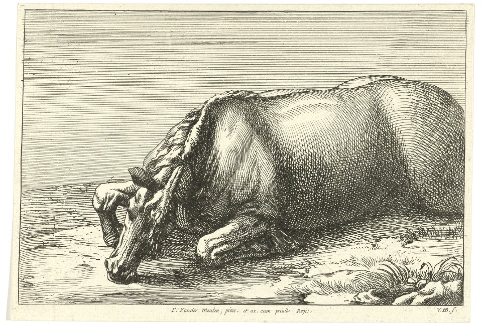 Jan van Huchtenburg, Adam Frans van der Meulen - Killed horse seen from left side