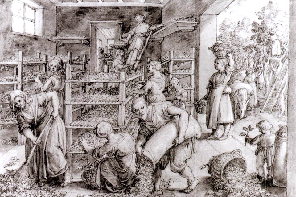 Jan van der Straet - Silkworm Farm (2) - WGA21872