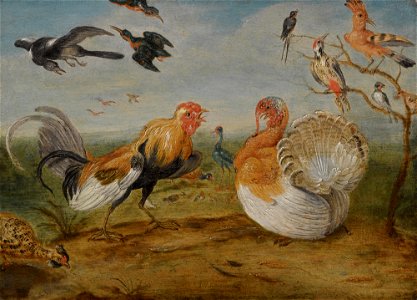 Jan van Kessel de Oude - Een landschap met een haan en een kalkoen gekibbel, en ander gevogelte. Free illustration for personal and commercial use.