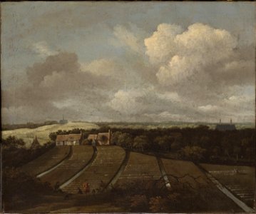 Jan van Kessel - Dunes near Haarlem