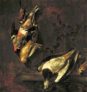 Jan Vonck - Stilleven met dode vogels en een bloempot - 2205 (OK) - Museum Boijmans Van Beuningen