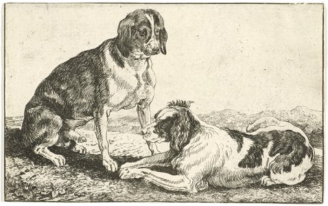 Jan van den Hecke - Two dogs at rest. Free illustration for personal and commercial use.