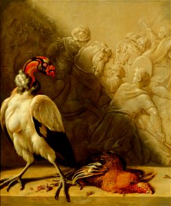 Jan Weenix - Südamerikanischer Königsgeier - GG 9045 - Kunsthistorisches Museum