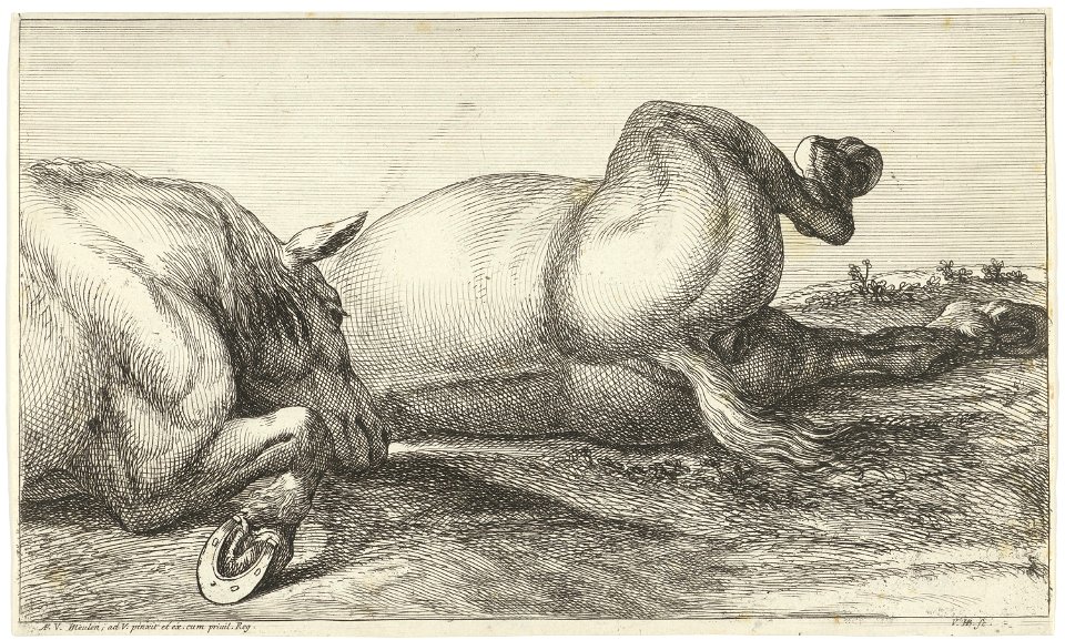 Jan van Huchtenburg, Adam Frans van der Meulen - Two horses killed in action lying in a row