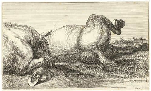 Jan van Huchtenburg, Adam Frans van der Meulen - Two horses killed in action lying in a row