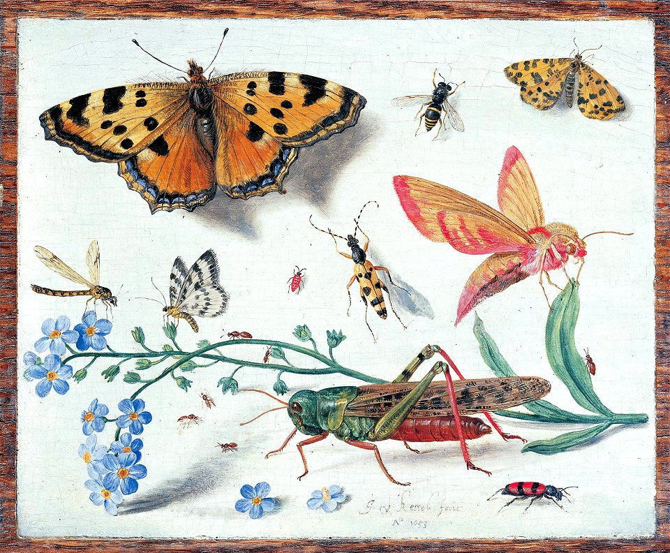 Jan van Kessel 001