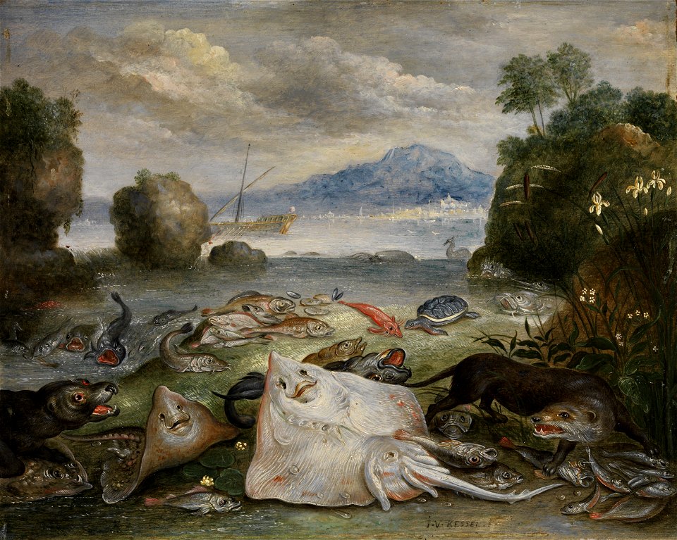 Jan van Kessel de Oude - Mariene dieren, vissen en otters op het strand
