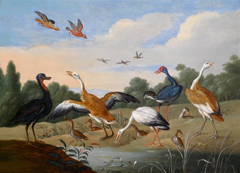 Jan van Kessel dÄ Reiher und Enten