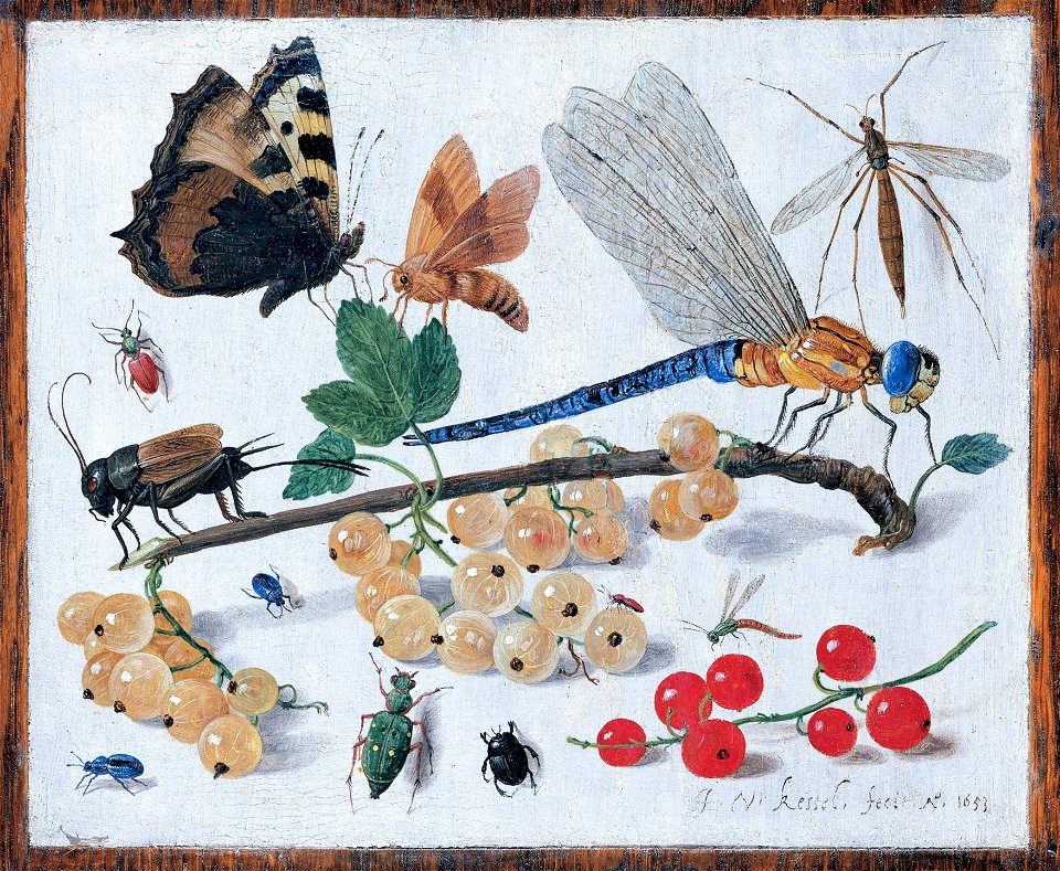 Jan van Kessel 002