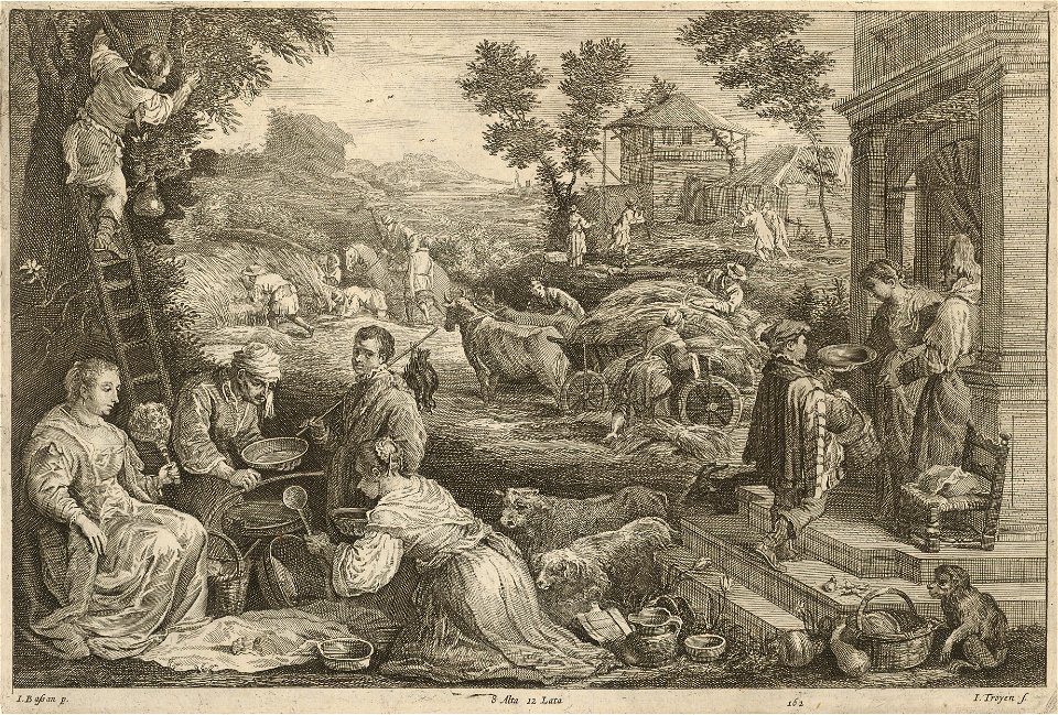 Jan van Troyen - Summer SVK-SNG.G 11965-163