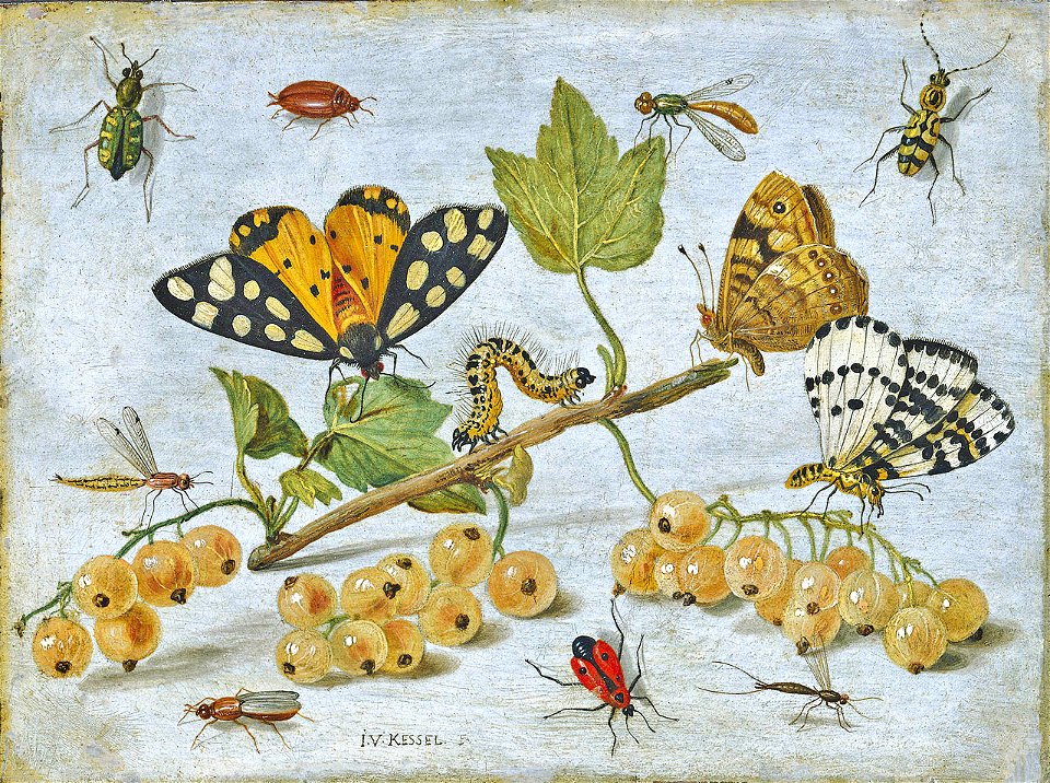 Jan van Kessel 003