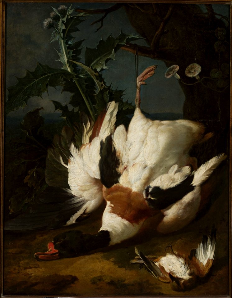 Jan Weenix - Dead drake - M.Ob.445 - National Museum in Warsaw