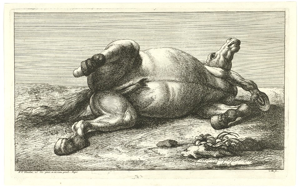 Jan van Huchtenburg, Adam Frans van der Meulen - Horse killed in action lying on its back