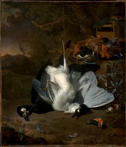 Jan Weenix - Dead Birds and Hunting Equipment in a Landscape - 41.744 - Museum of Fine Arts. Free illustration for personal and commercial use.