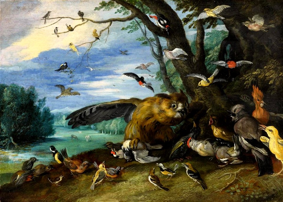 Jan van Kessel (I) - Birds fighting