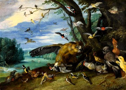 Jan van Kessel (I) - Birds fighting. Free illustration for personal and commercial use.