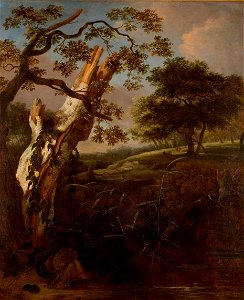 Jan van Kessel - Een berkenstam in een heuvelachtig landschap - 2248 - Rijksmuseum Twenthe