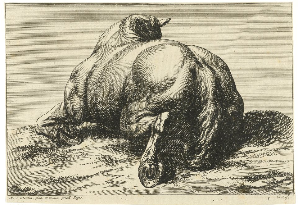 Jan van Huchtenburg, Adam Frans van der Meulen - A horse lying on its belly seen from behind