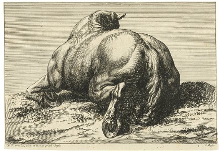 Jan van Huchtenburg, Adam Frans van der Meulen - A horse lying on its belly seen from behind