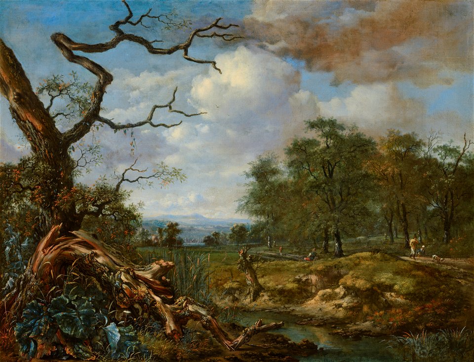 Jan Wijnants - Landscape at the Edge of Woods - 212 - Mauritshuis