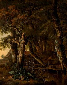 Jan Wijnants Waldlandschaft 1673. Free illustration for personal and commercial use.