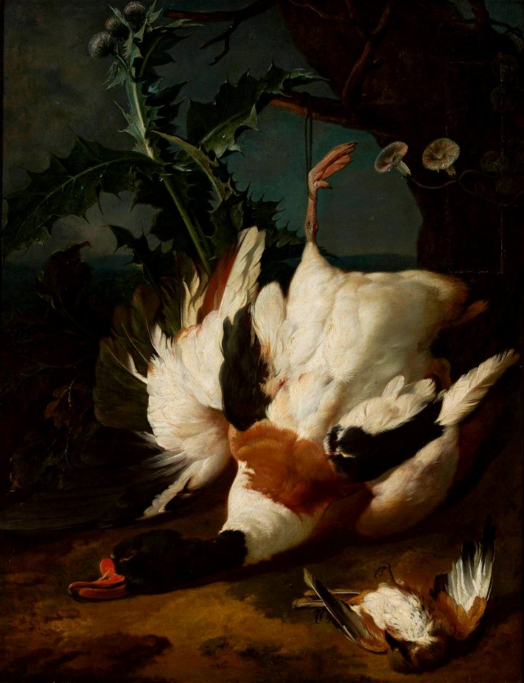 Jan Weenix - Zabity kaczor