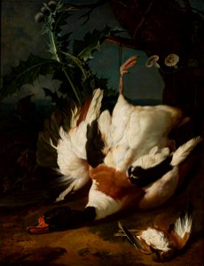 Jan Weenix - Zabity kaczor