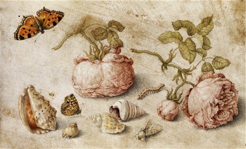 Jan van Kessel de Oude - Trompe l'oeil. Free illustration for personal and commercial use.