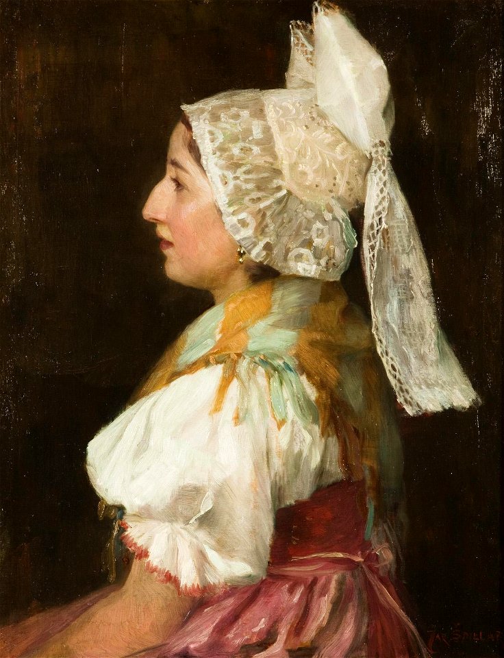 Jaroslav Spillar Turteltaube