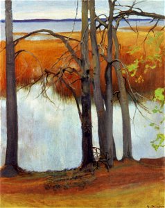 Jarnefelt Kaislikkoranta