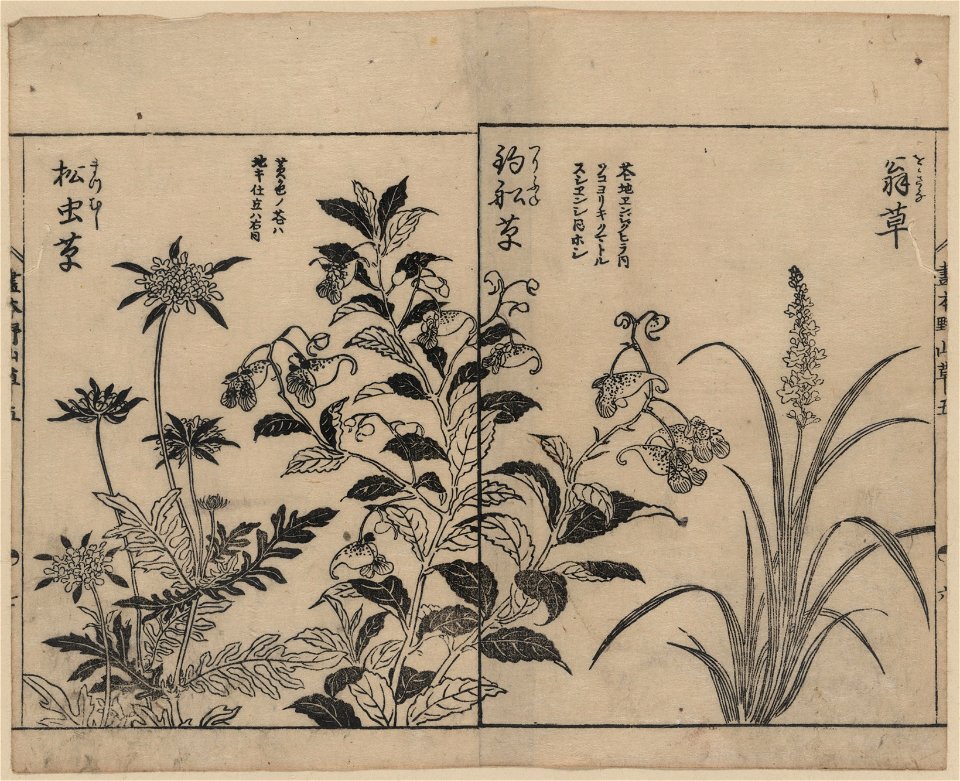 Japonica, bell flowers, and anemone LCCN2008660984