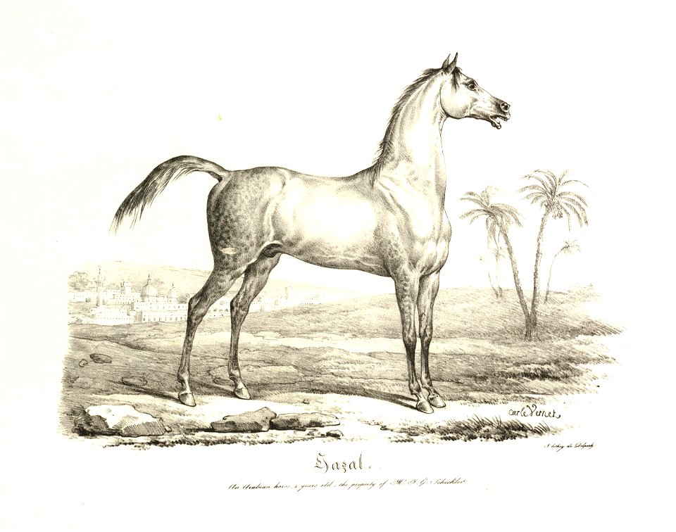 Jazal (BM 1867,0309.918)