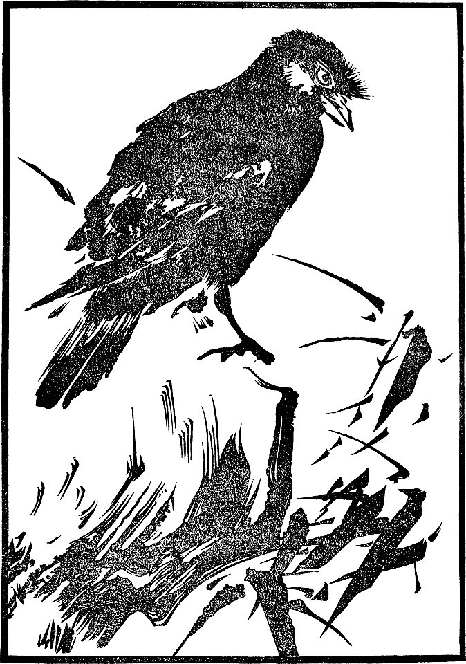 Japanese Wood Engravings-1895-041