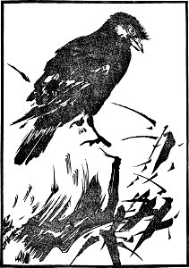 Japanese Wood Engravings-1895-041