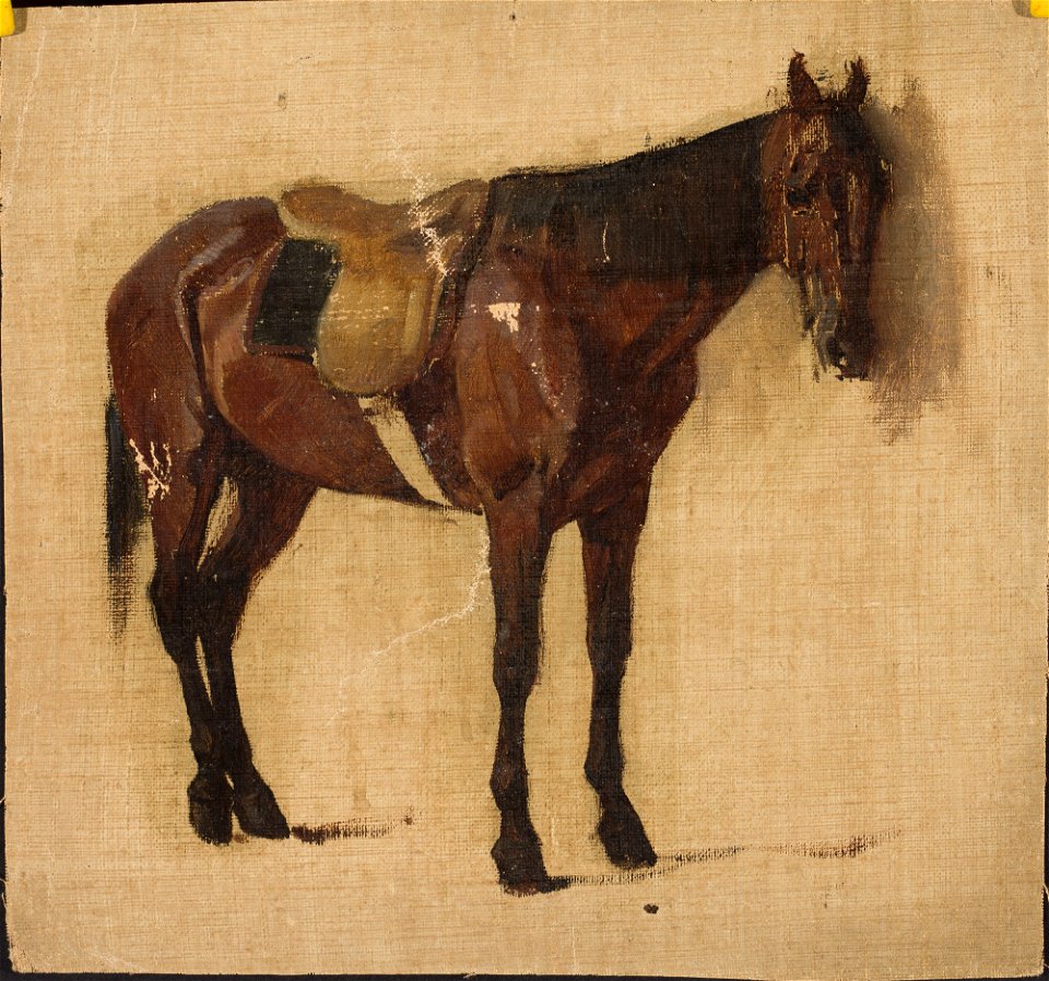 Jean Lulves - Study of a horse - M.Ob.872 MNW - National Museum in Warsaw