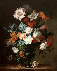 Jean-Baptiste Monnoyer (1636-1699) - Flower Piece in an Urn - 732251 - National Trust