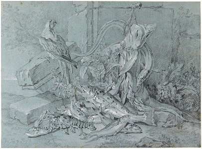 Jean-Baptiste Oudry - Still-life with Fish and Parrot - Google Art Project