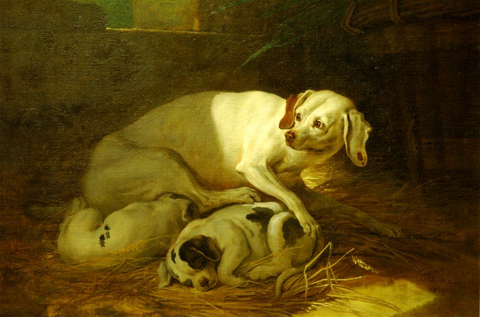 Jean-Baptiste Oudry - Chienne allaitant ses petits