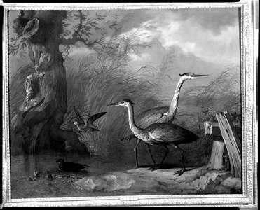 Jean-Baptiste Oudry - The Blue Herons - 1970.148 - Fogg Museum