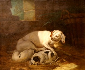 Jean-Baptiste Oudry - Chienne allaitante