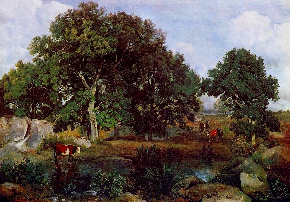 Forest of Fontainebleau 1