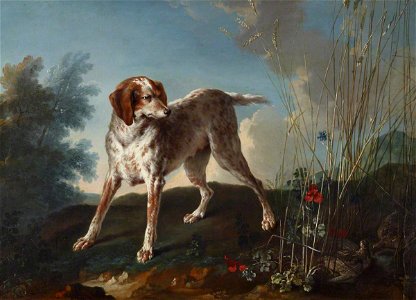 Jean-Baptiste Oudry (1686-1755) - A Pointer and Partridges - 515652 - National Trust