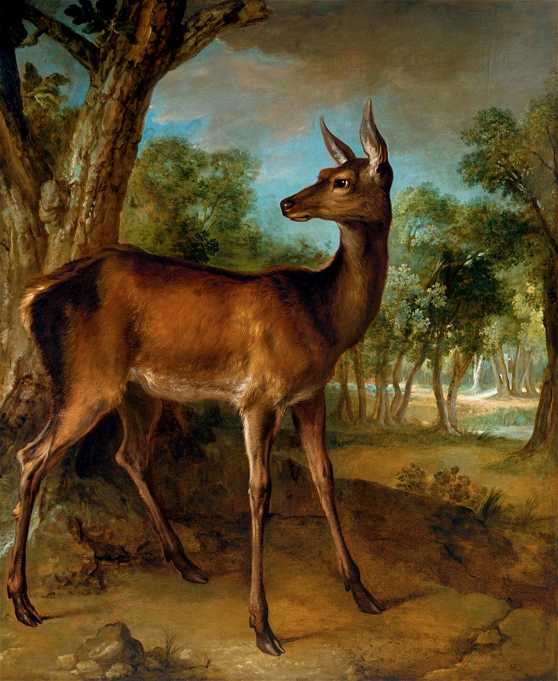 Jean-Baptiste Oudry - Biche aux Augets