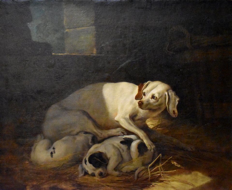 Jean-Baptiste Oudry - Chienne allaitant ses petits 3