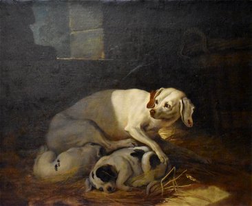 Jean-Baptiste Oudry - Chienne allaitant ses petits 3