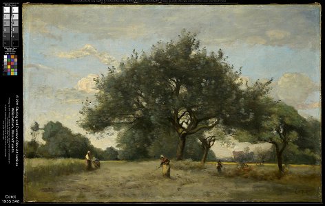 Jean-Baptiste-Camille Corot - Apple Trees in a Field - 1955.548 - Clark Art Institute