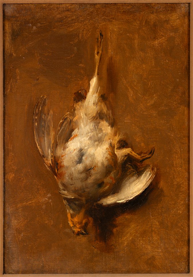 Jean-Baptiste Oudry - Dead Bird - 54.176 - Rhode Island School of Design Museum