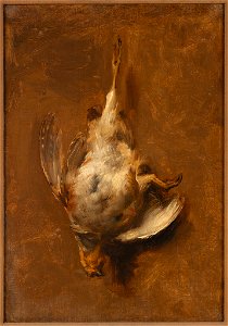 Jean-Baptiste Oudry - Dead Bird - 54.176 - Rhode Island School of Design Museum