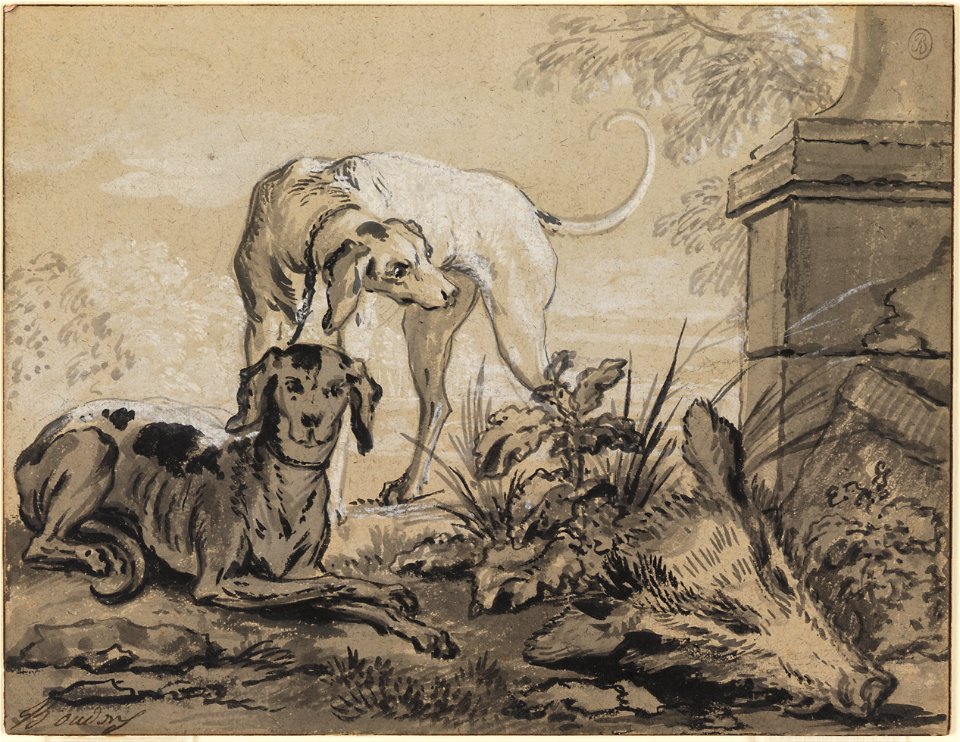 Jean-Baptiste Oudry - After the Hunt- Two Hounds beside a Boar's Head - Google Art Project
